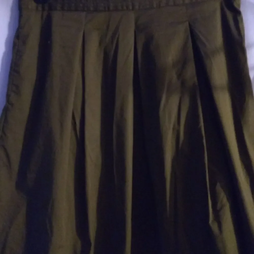 Ann Taylor skirt